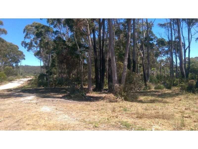 142 Stony Rise Road, STONY RISE, Stony Rise - Thumbnail 8