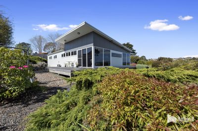 1A Marine Street, East Devonport, East Devonport - Thumbnail 2