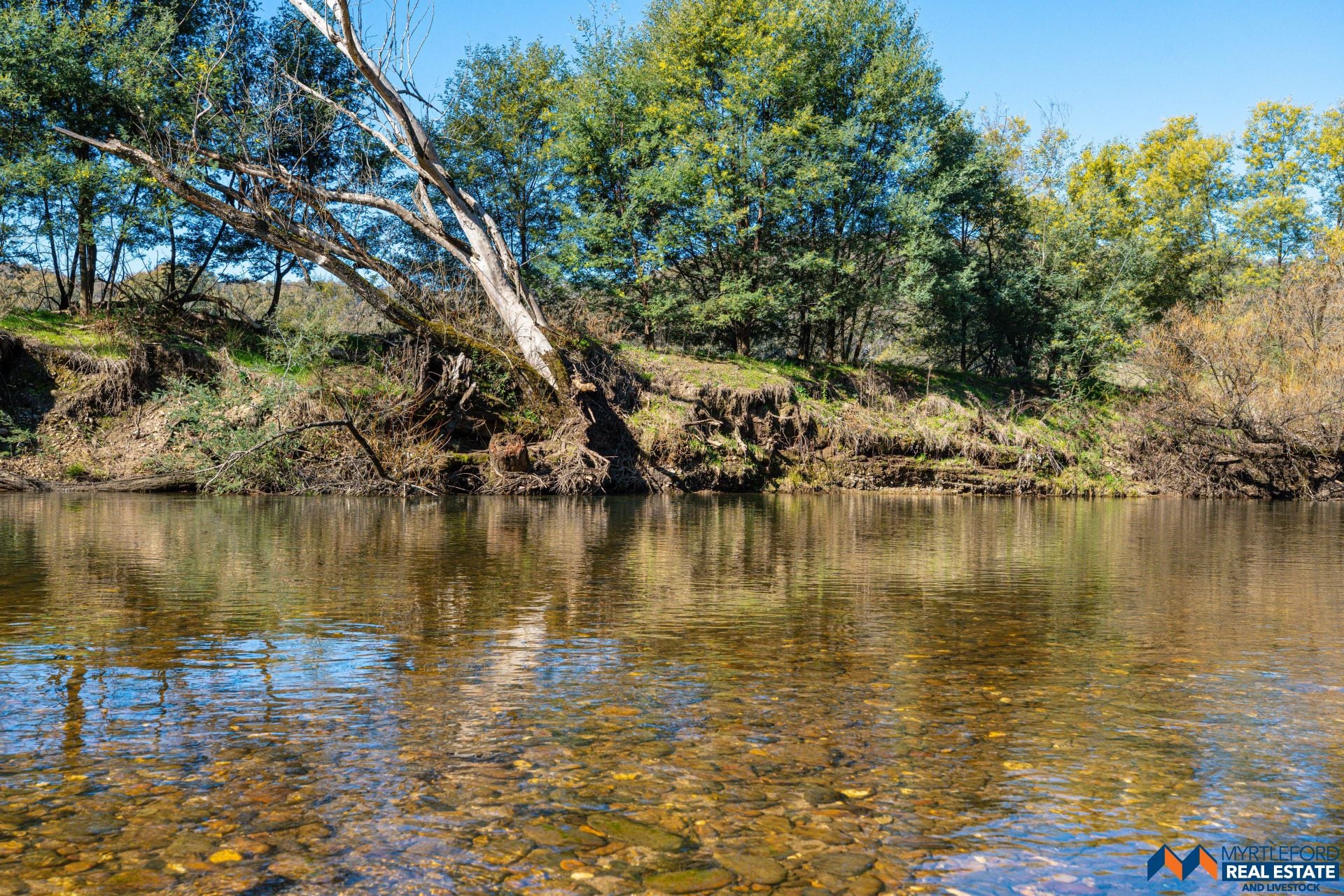 367 Merriang South Road MYRTLEFORD VIC, Myrtleford - Thumbnail 6