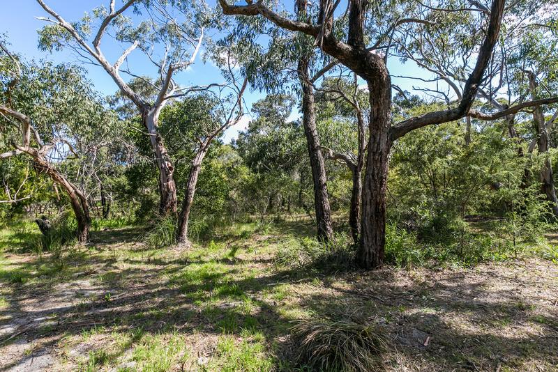 54 Aireys Street, Aireys Inlet, VIC, Aireys Inlet - Thumbnail 8