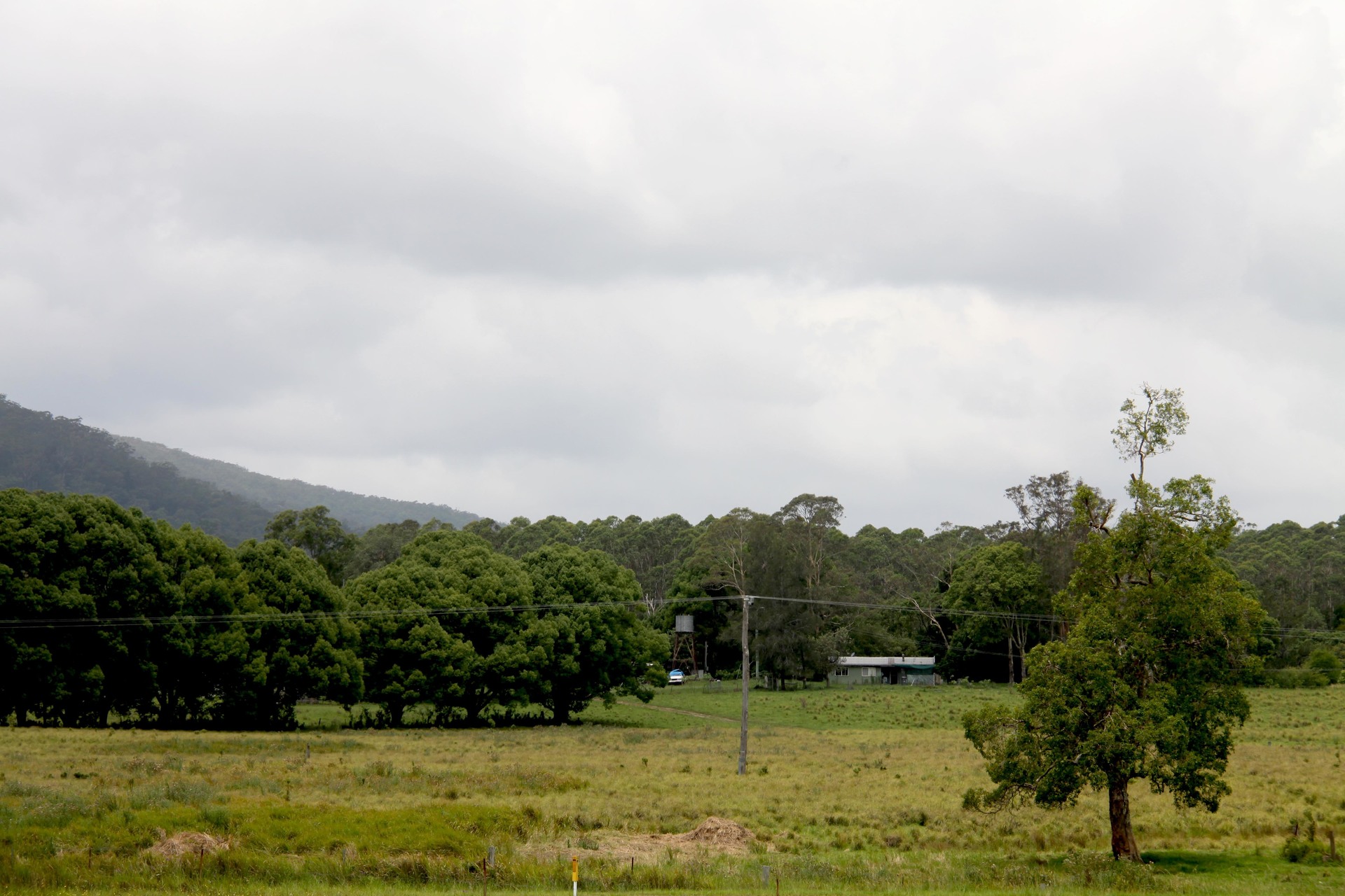 1502 Orara Way , NANA GLEN, NSW, 2450 Rural buyMyplace