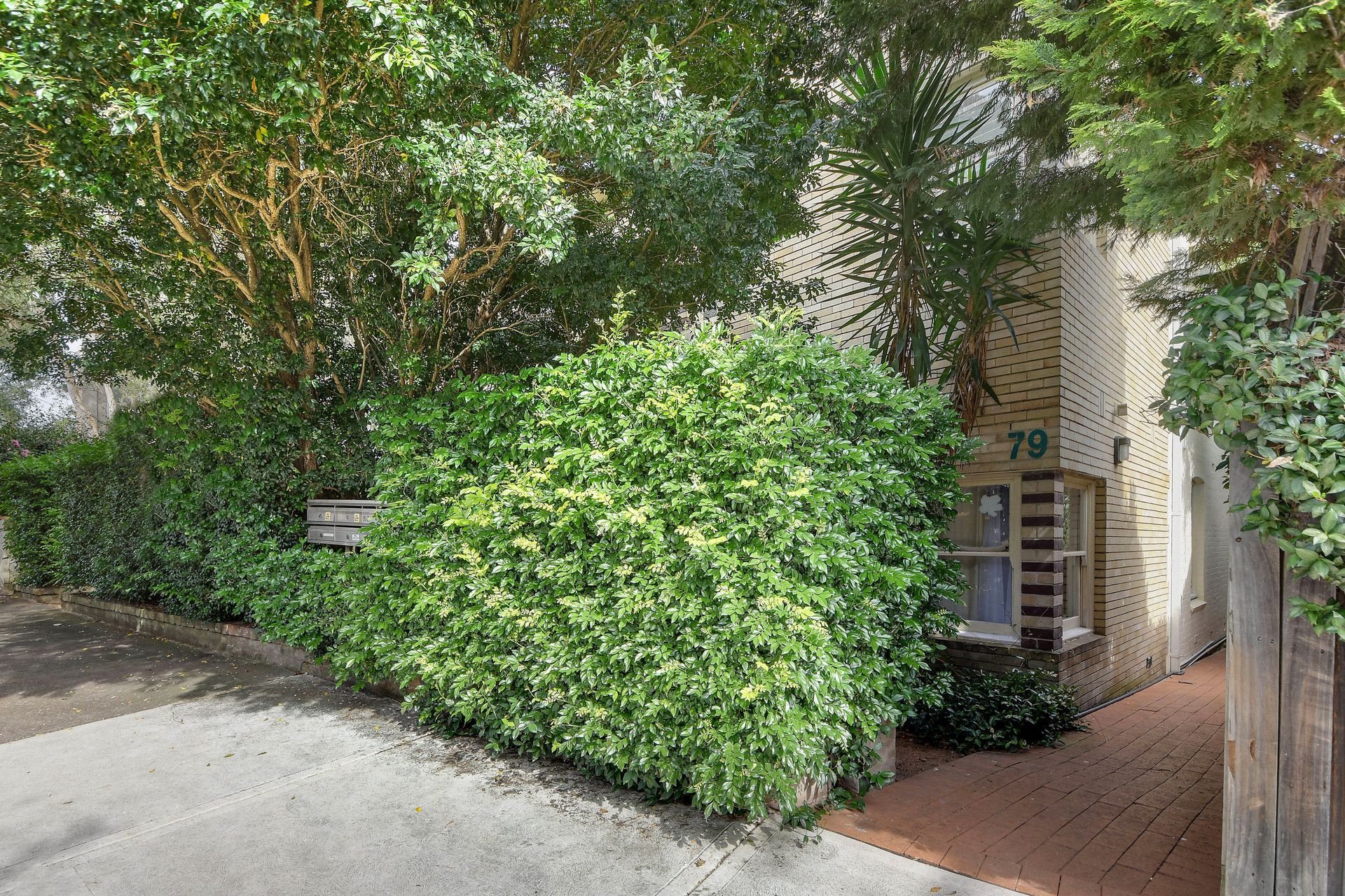 Real Estate For Lease 3/79 Kurraba Road Kurraba Point , NSW