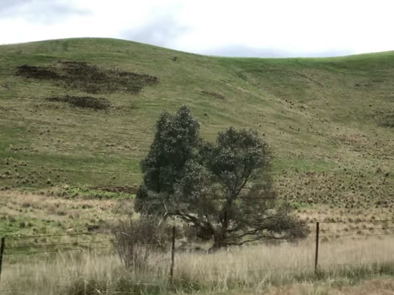 96C/ Taits Lane, Yarck VIC 3719