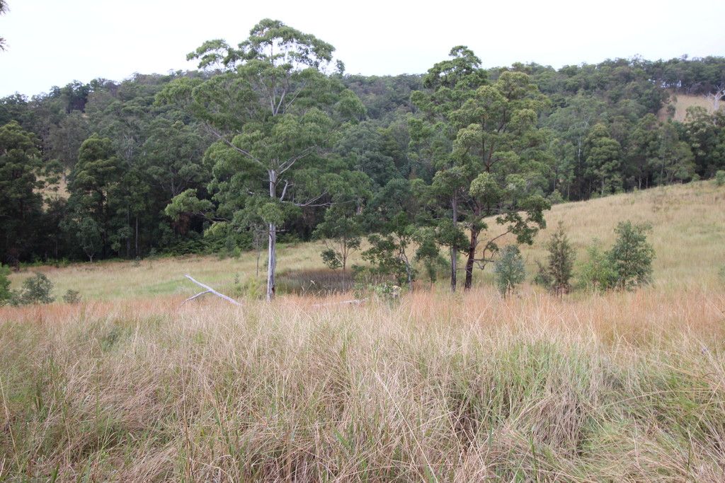 1176 Bellangry Rd, BELLANGRY NSW 2446