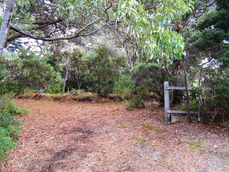 87 Seventh Avenue, Anglesea, VIC, Anglesea - Thumbnail 5