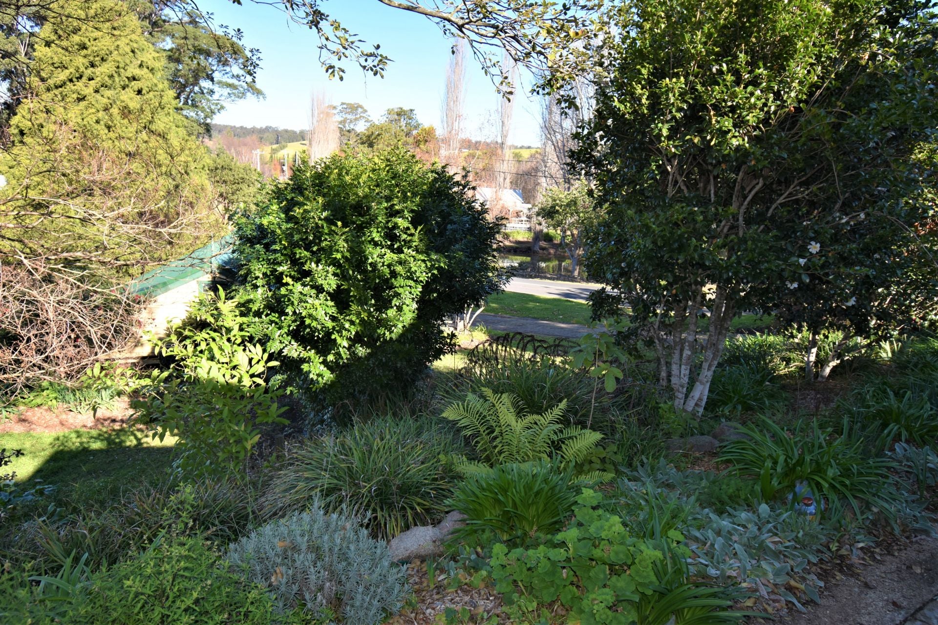 269 Corkhill Street, Tilba Tilba, Tilba Tilba - Thumbnail 5