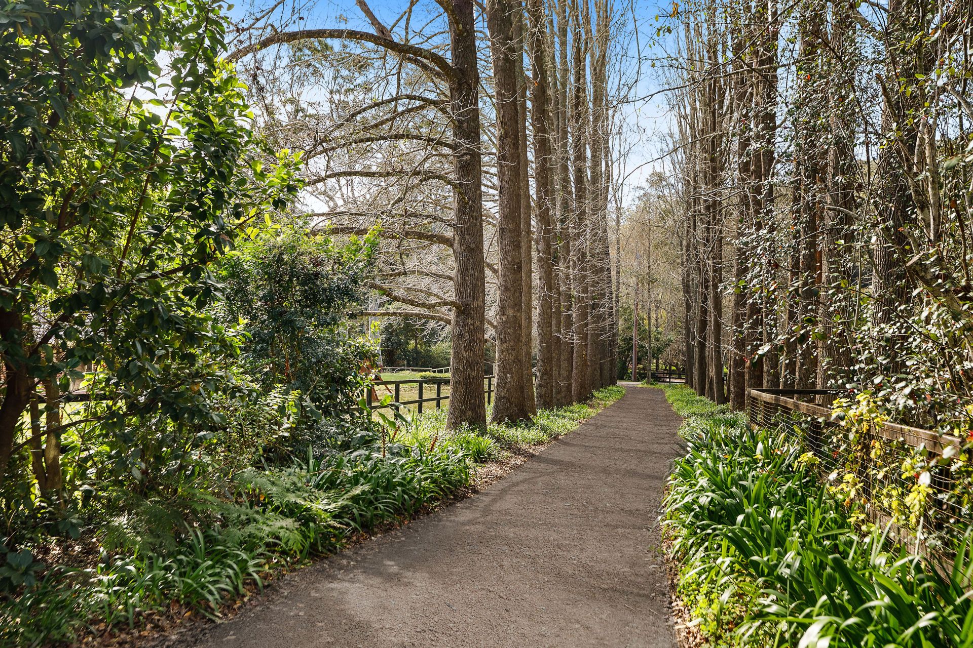 155 Peach Orchard Road, Fountaindale Whiteman Property