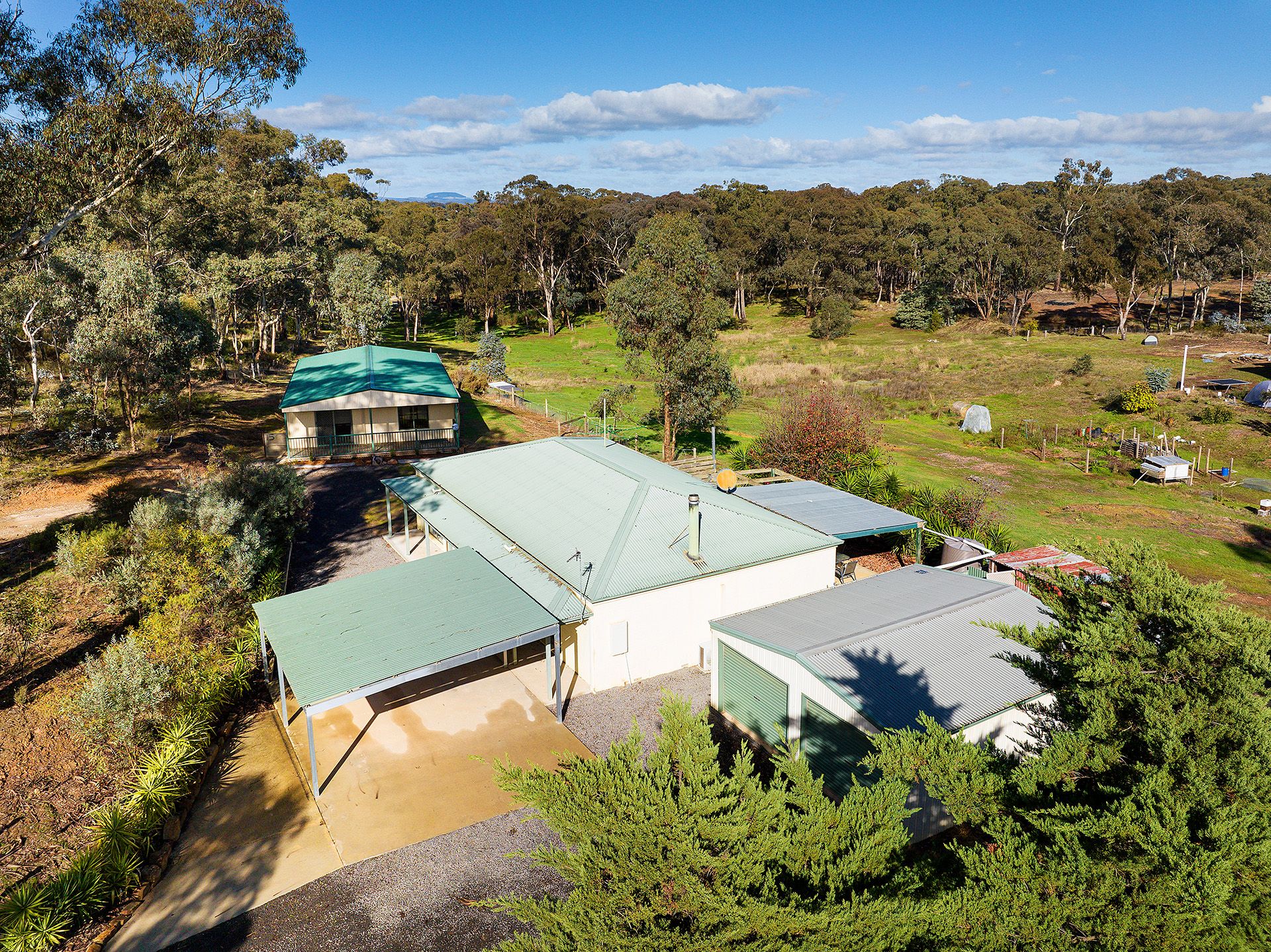 15 Fenton Avenue, Campbells Creek - Thumbnail 4