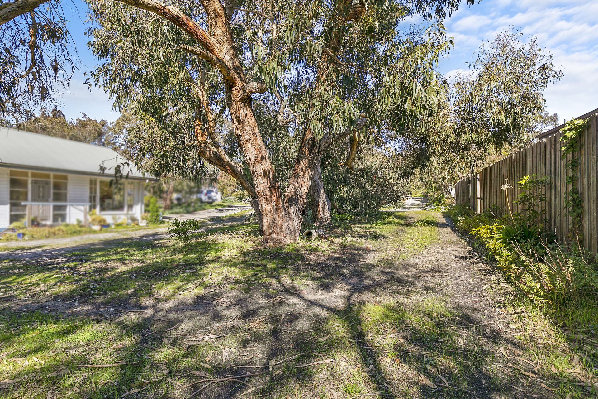 15 Eagle Avenue, Anglesea - Thumbnail 5