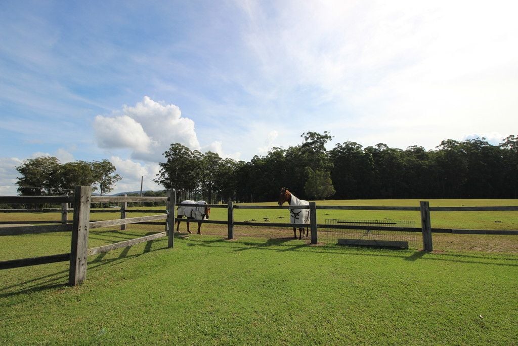 22 Gordonbrook Rd, BOBS CREEK NSW 2443
