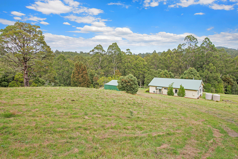870 Forrest Apollo Bay Road, Barramunga, VIC, Barramunga - Thumbnail 8