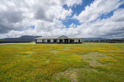 Dream Country Lifestyle - Must Be Sold!