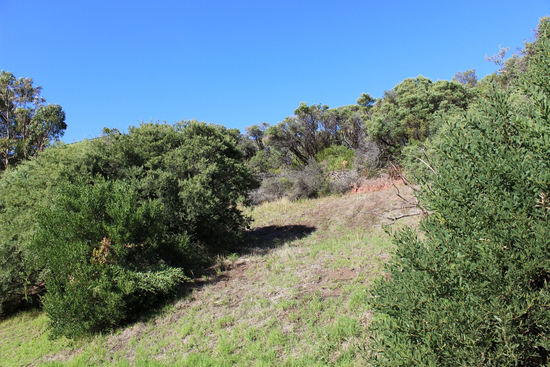 56/ Landscape Drive, VENUS BAY PBE Real Estate