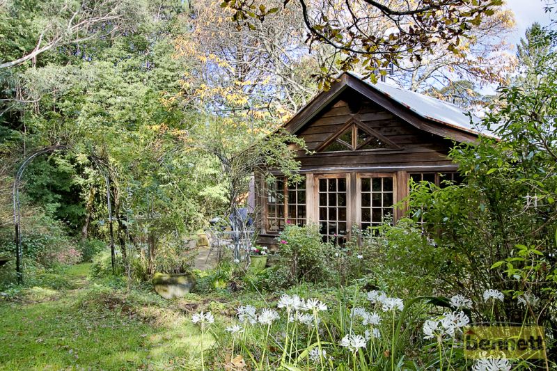13 Rainbow Ravine Road, Mount Tomah - Thumbnail 4