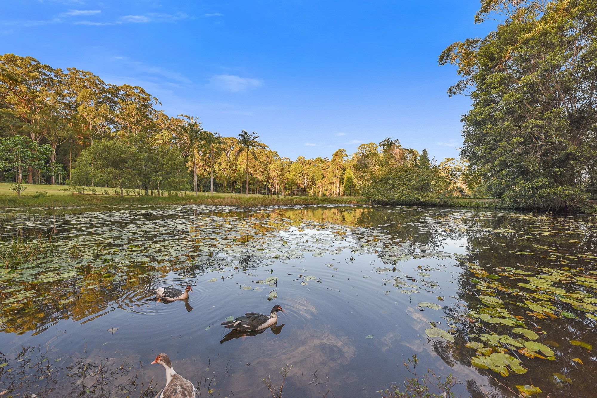 Real Estate For Sale 480A Glenview Road Glenview , QLD