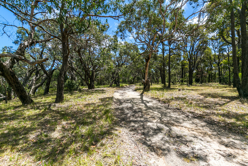 50 Aireys Street, Aireys Inlet, VIC, Aireys Inlet - Thumbnail 4