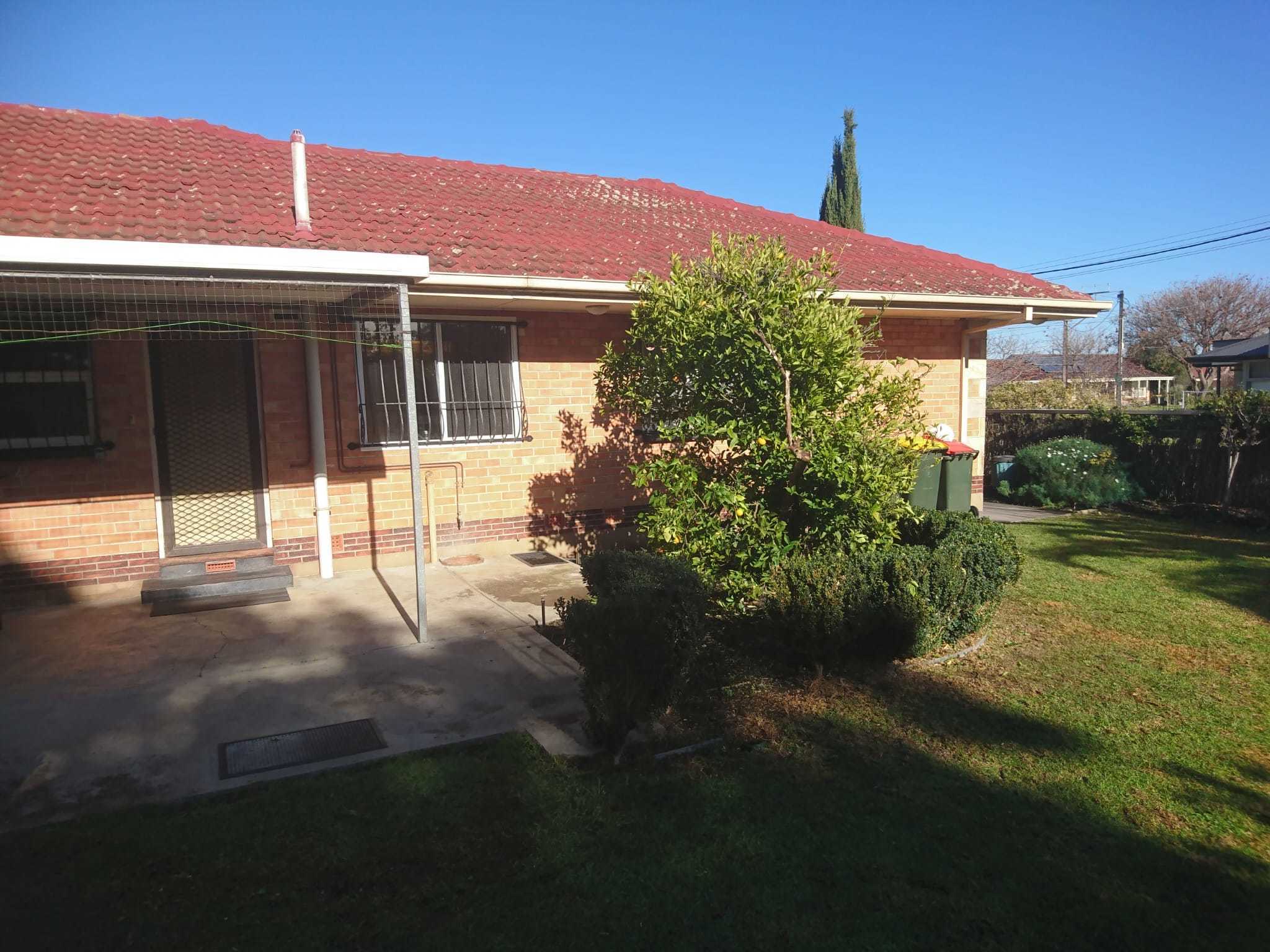 13  Louise Avenue Fulham 5024