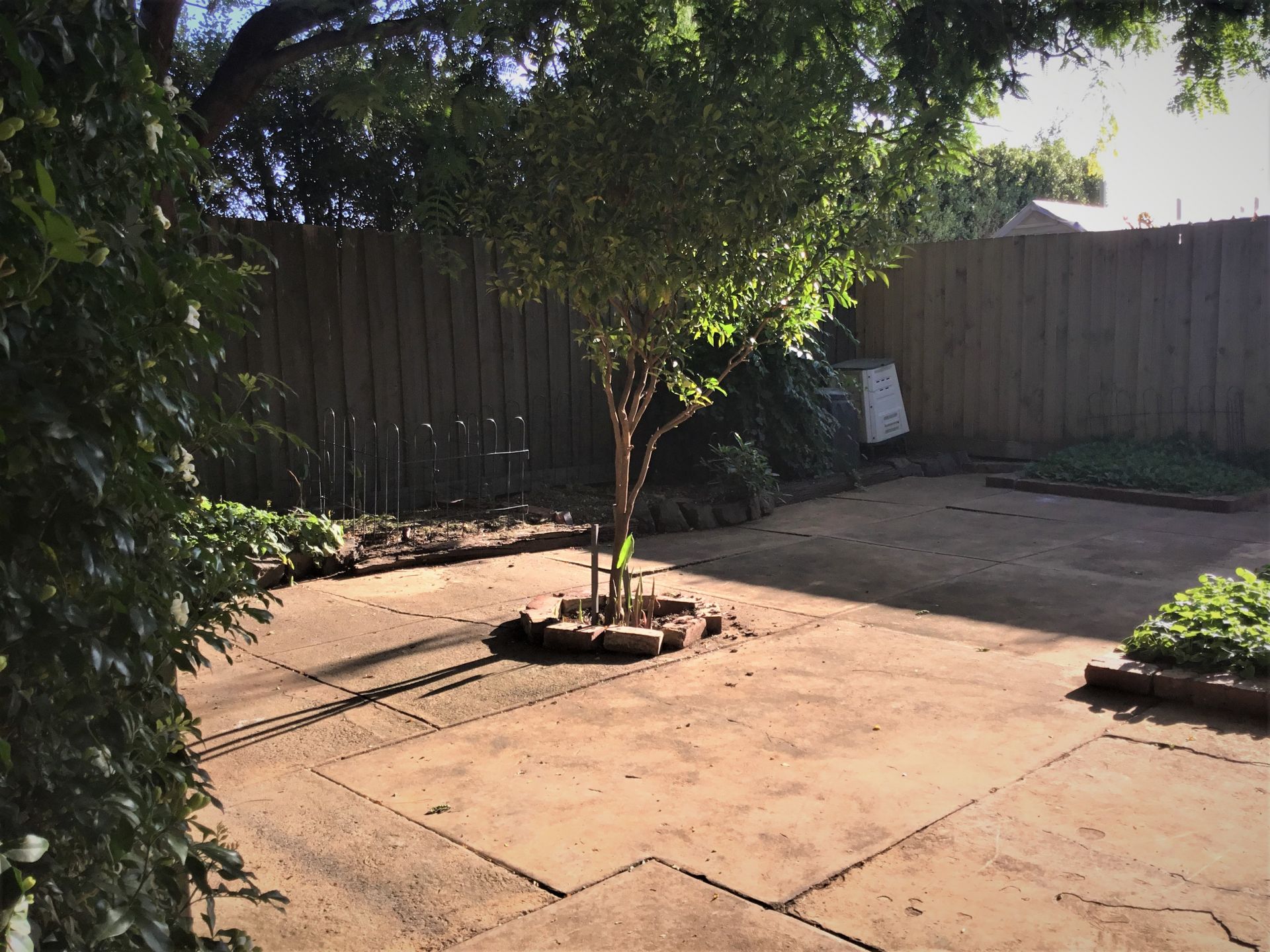 Stunning Federation Californian Bungalow In The Ideal Location!