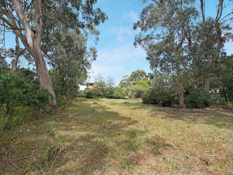 36 Old Coach Road, Skenes Creek, VIC, Skenes Creek - Thumbnail 5