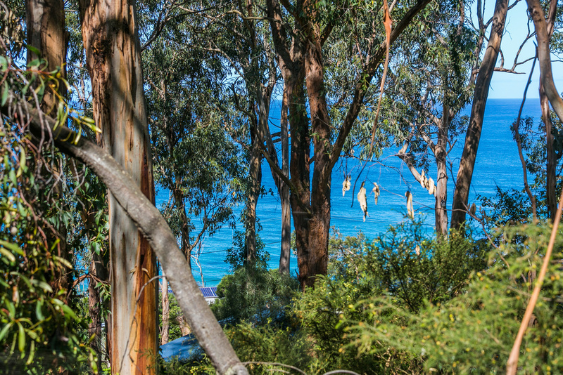 11 Cassidy Drive, Kennett River, VIC, Kennett River - Thumbnail 6