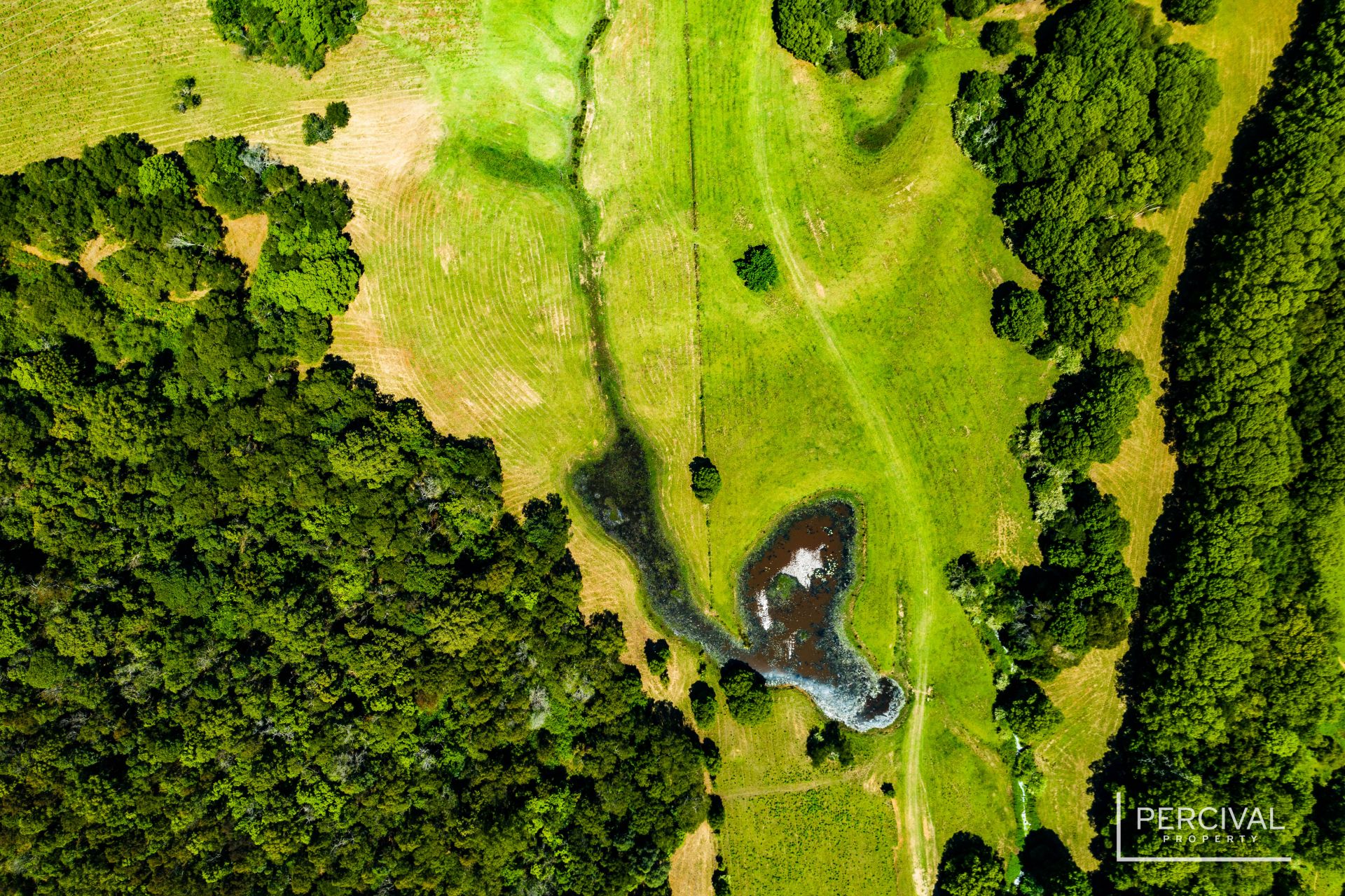Lot 97 & Lorne Road Upsalls Creek NSW, Upsalls Creek - Thumbnail 4