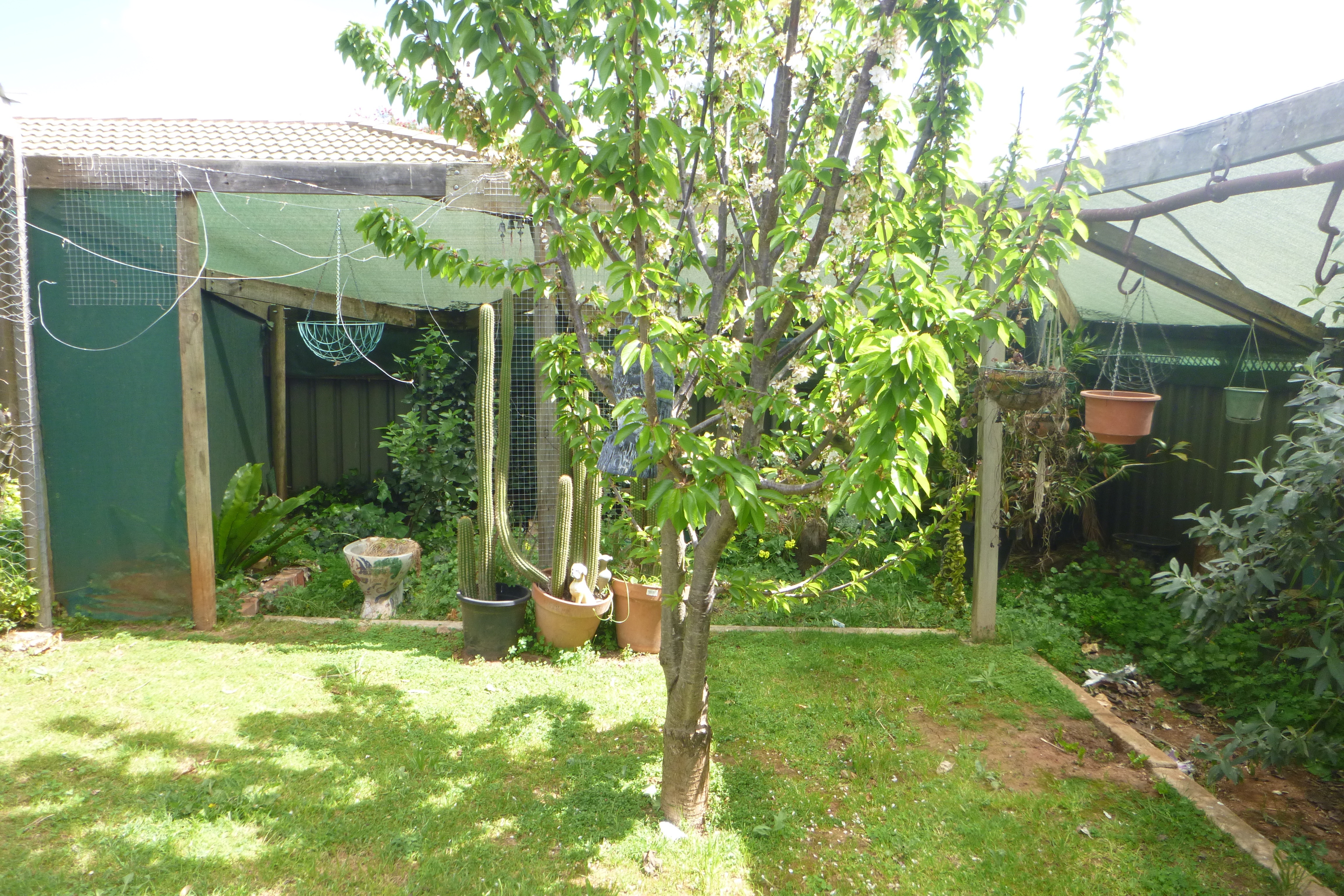 20 Jedna Close Craigmore 5114
