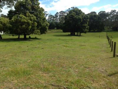59 Kimberley Road, Railton, Railton - Thumbnail 5