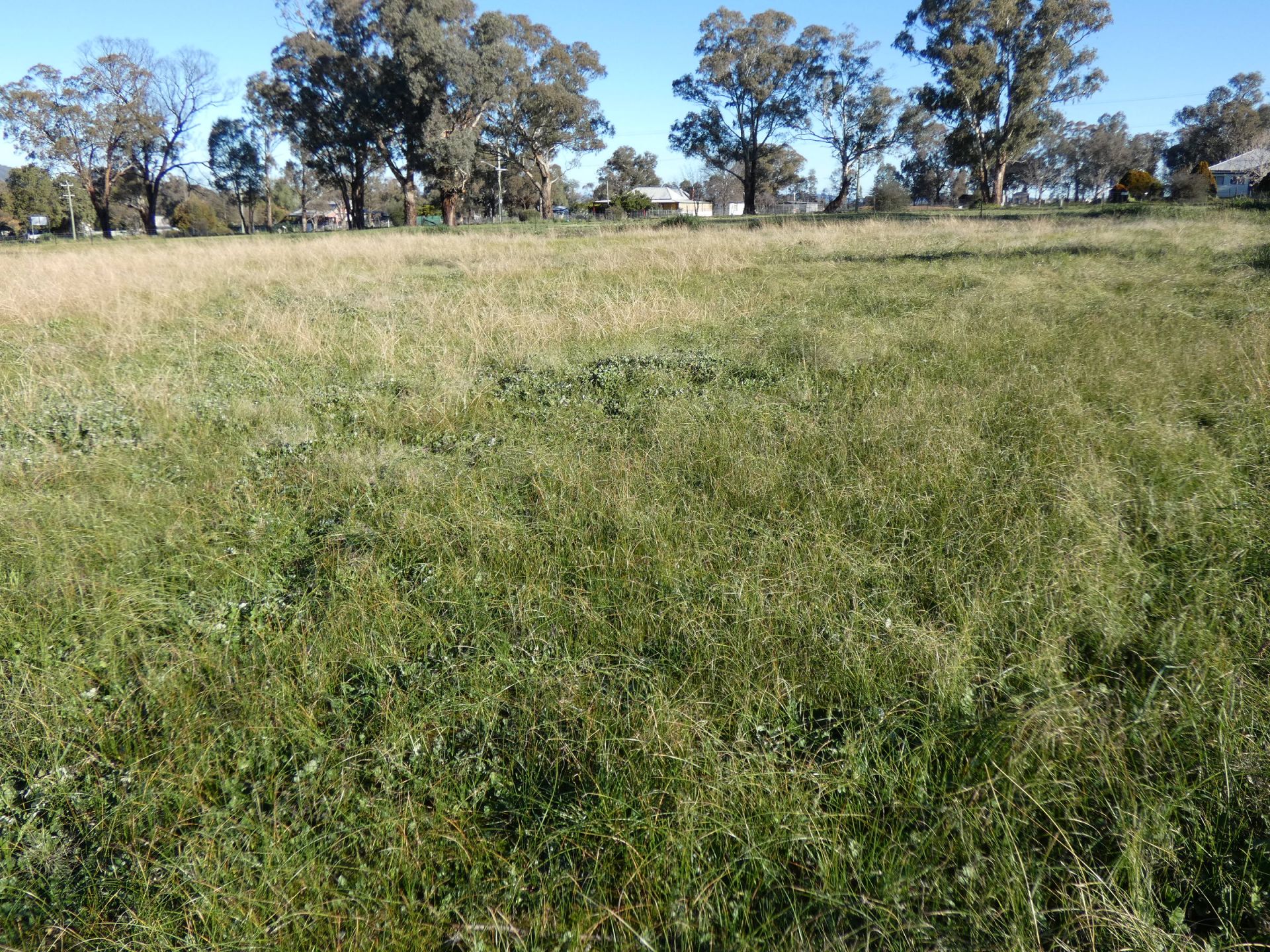 2 Cherry Tree Close, Bendick Murrell NSW, Bendick Murrell - Image 1