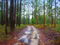 8046 Pacific Highway URUNGA NSW