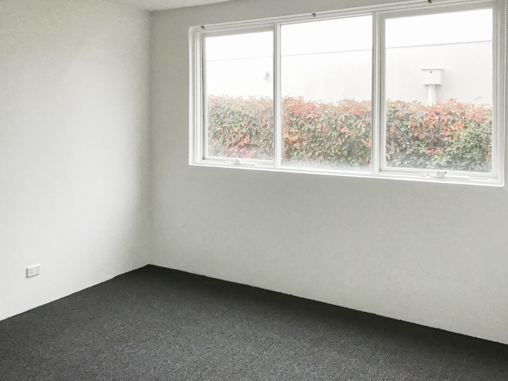Neat And Tidy One Bedroom Apartment