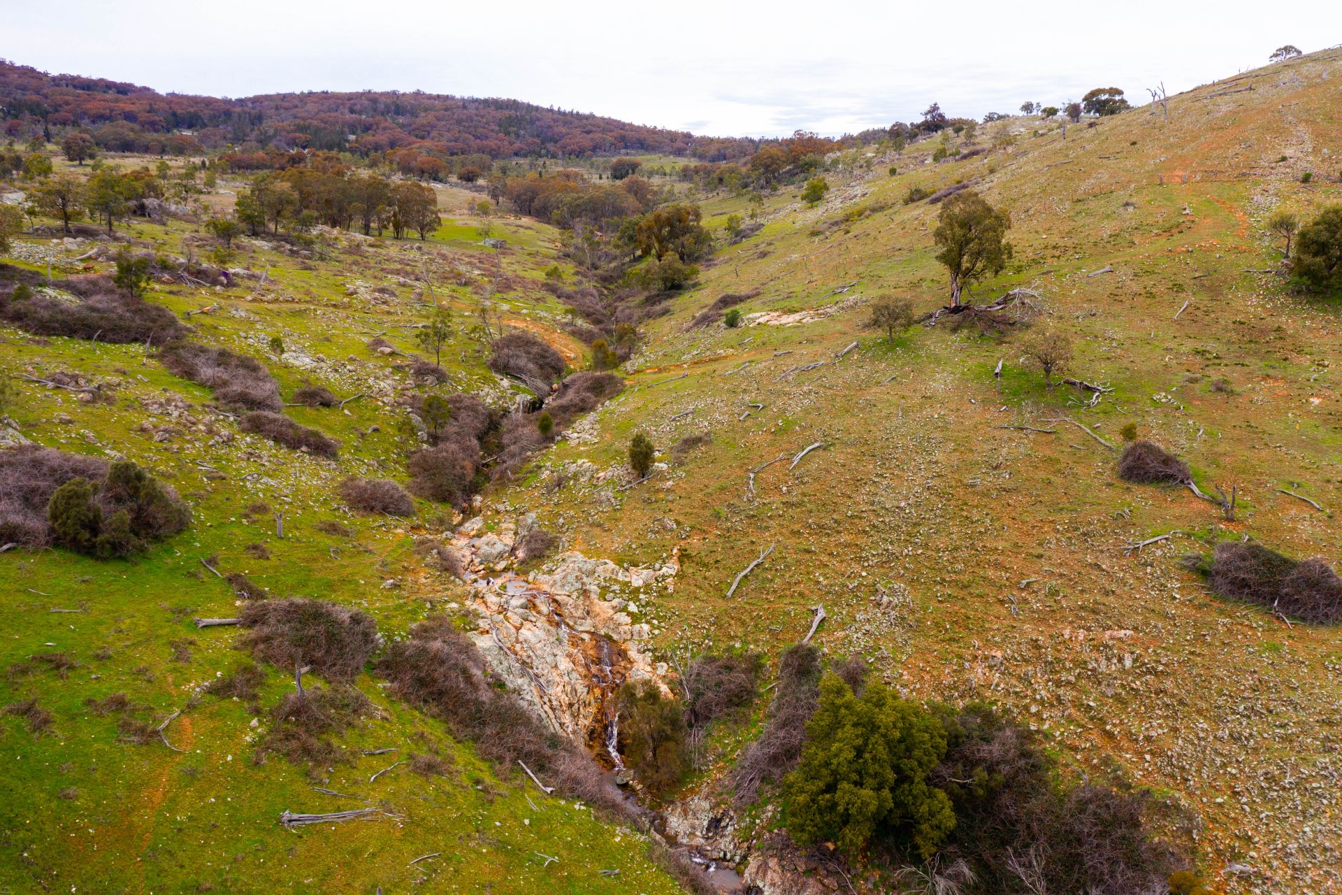 148 Mount Darling Road, Wyangala NSW, Wyangala - Thumbnail 6