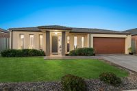 12 Newcastle Way, Langwarrin VIC, Langwarrin - Image 1