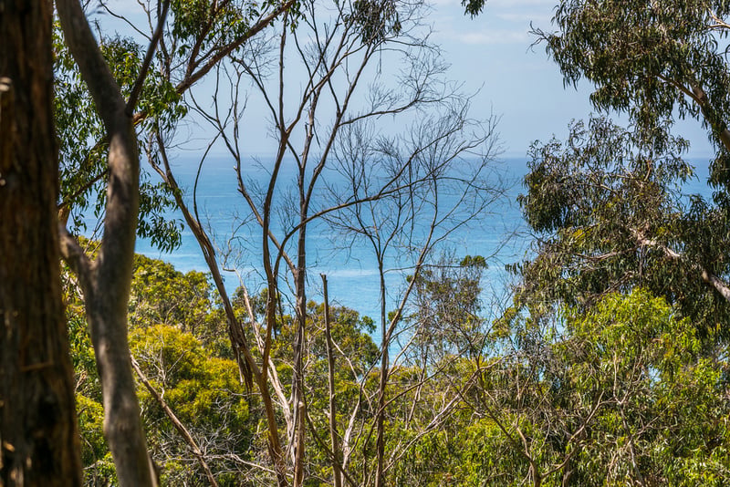 13 Cassidy Drive, Kennett River, VIC, Kennett River - Thumbnail 2