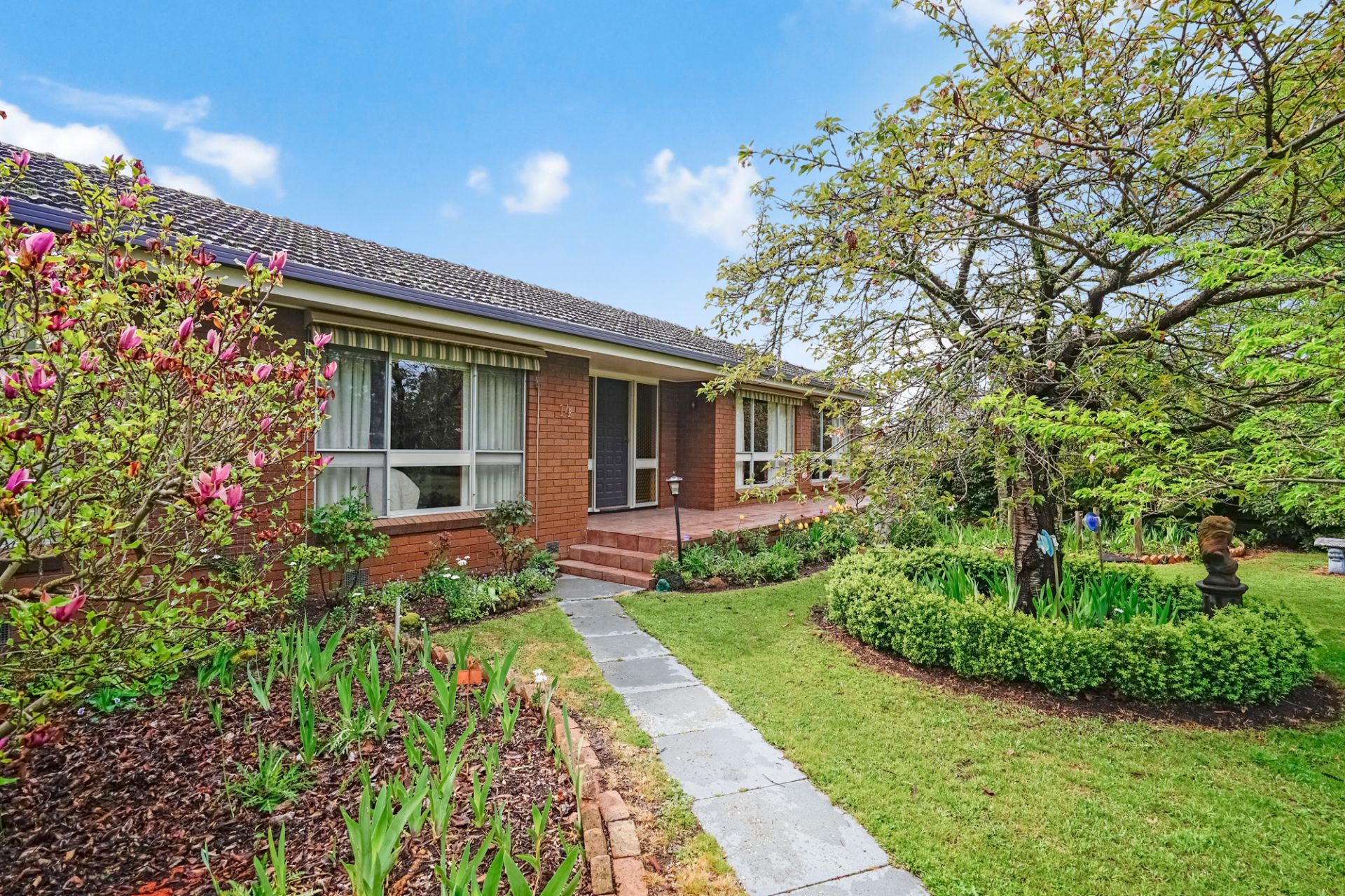 14 Back Raglan Road, Beaufort, Beaufort - Thumbnail 4