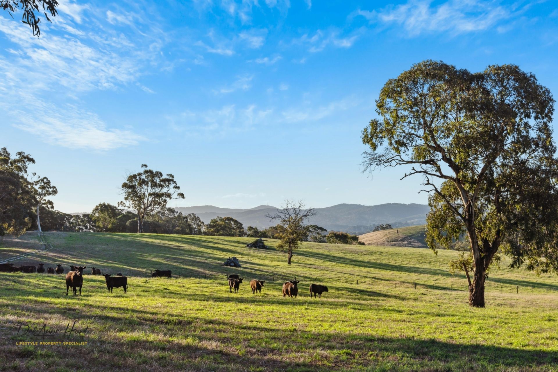 191 Mattners Road, Balhannah Williams Real Estate