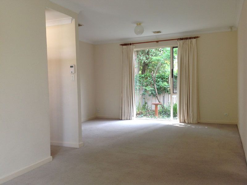 19 Broughton Street Glenside 5065