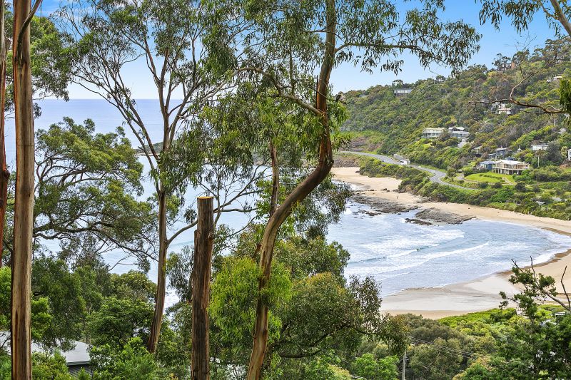 22 Durimbil Avenue, Wye River, VIC, Wye River - Thumbnail 2
