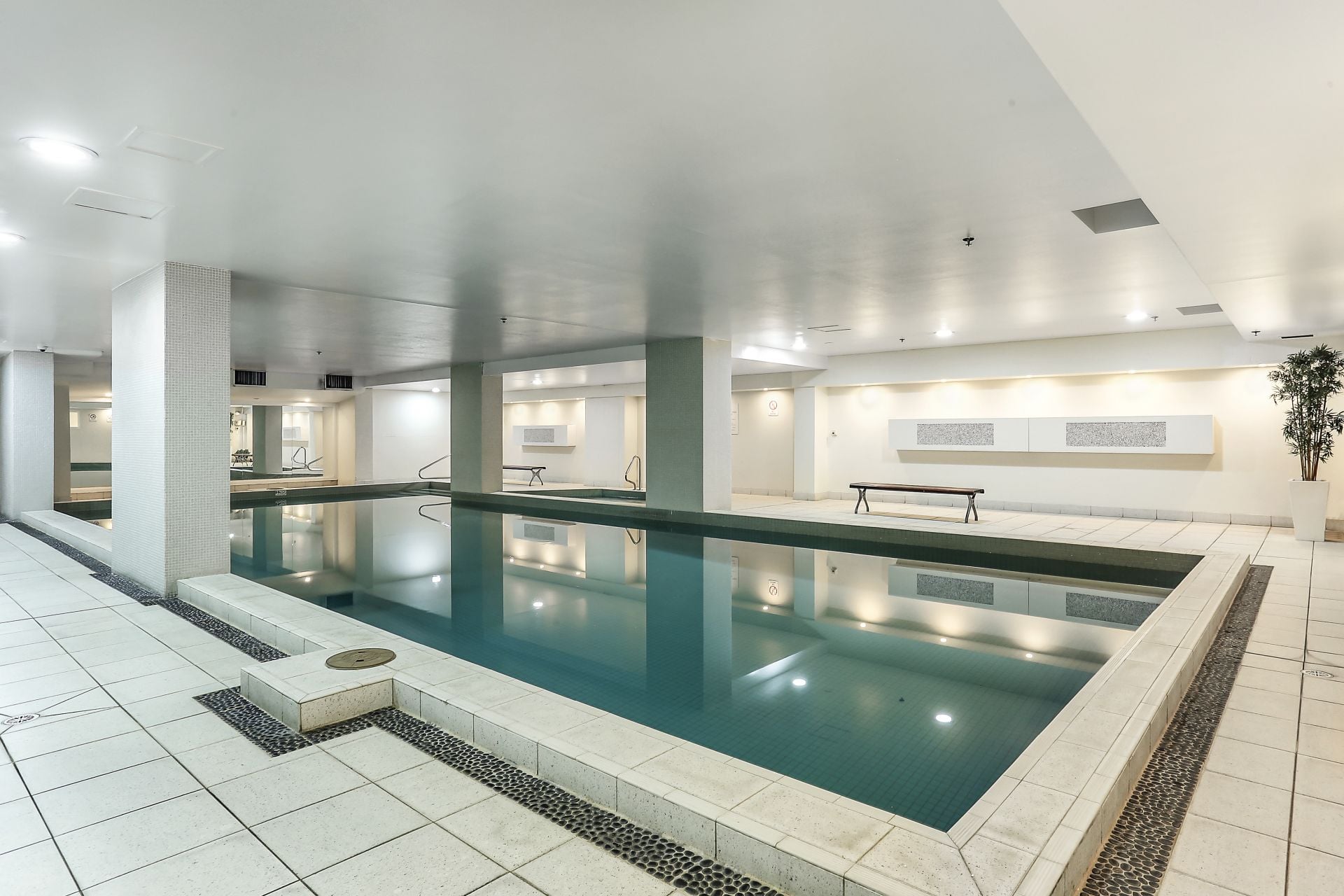 167/14 Brown Street, Chatswood, Chatswood - Image 1