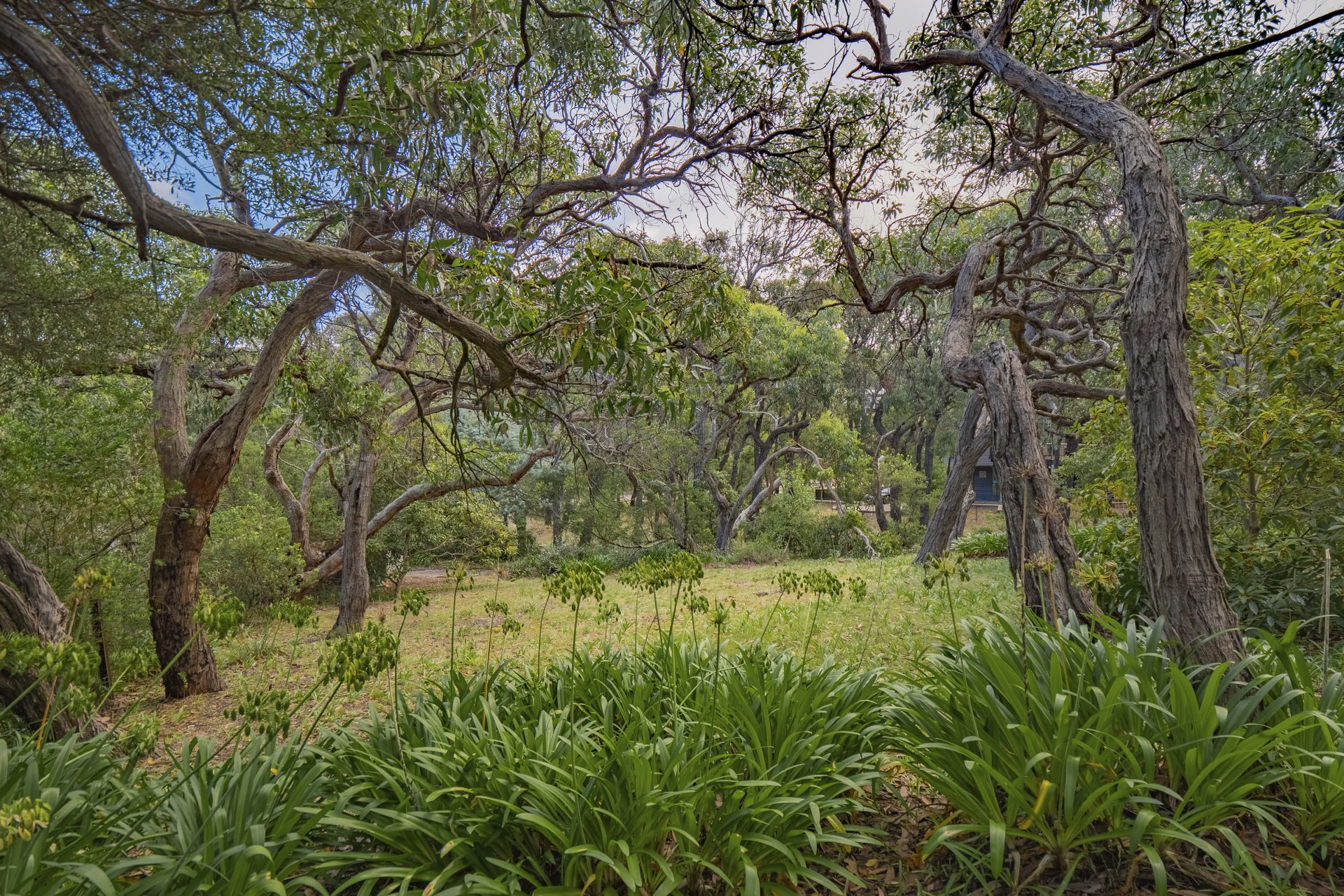 12 Yarringa Road, Fairhaven - Thumbnail 5