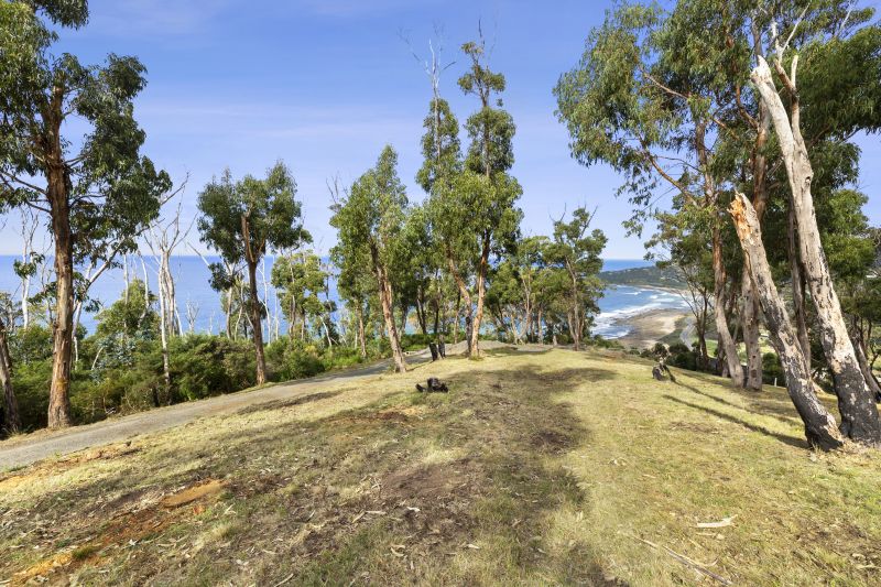 3/20 Dollar Drive, Separation Creek, VIC, Separation Creek - Thumbnail 6