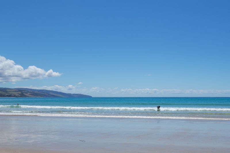 45 Seeberg Court Apollo Bay VIC, Apollo Bay - Thumbnail 4