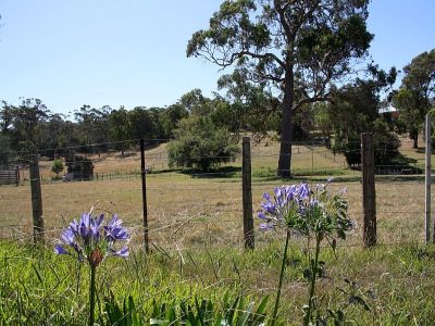 1215 Port Sorell Road, Port Sorell, Port Sorell - Thumbnail 6