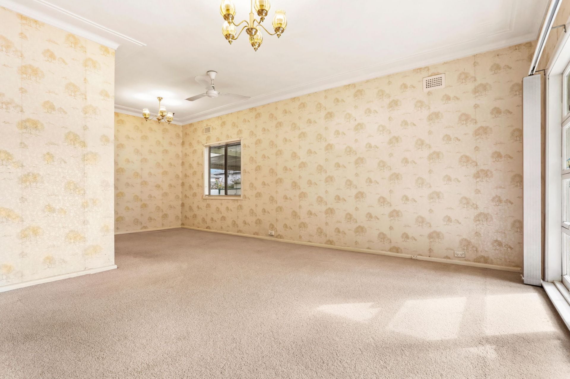 21 Dove Street Revesby NSW, Revesby - Thumbnail 3