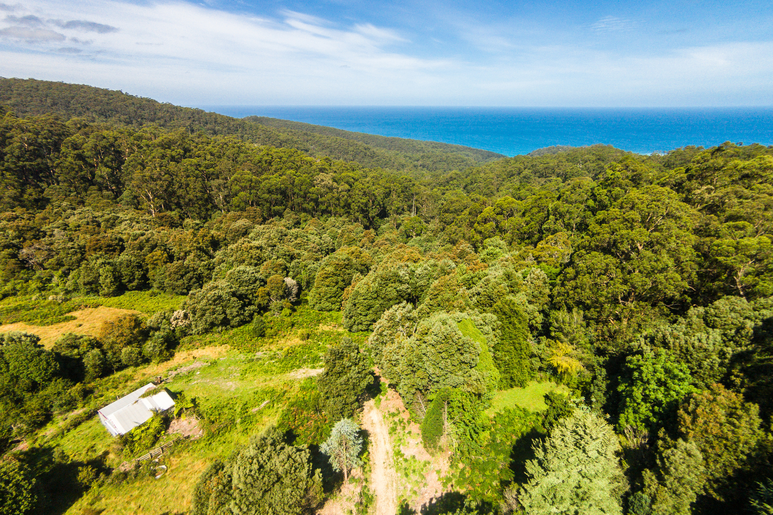 290 Kennett Road, Kennett River, VIC, Kennett River - Thumbnail 8