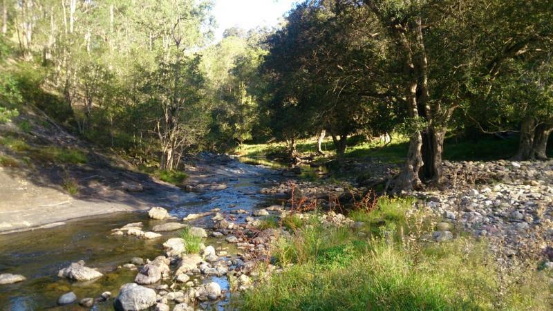 , YARROWITCH NSW 2354