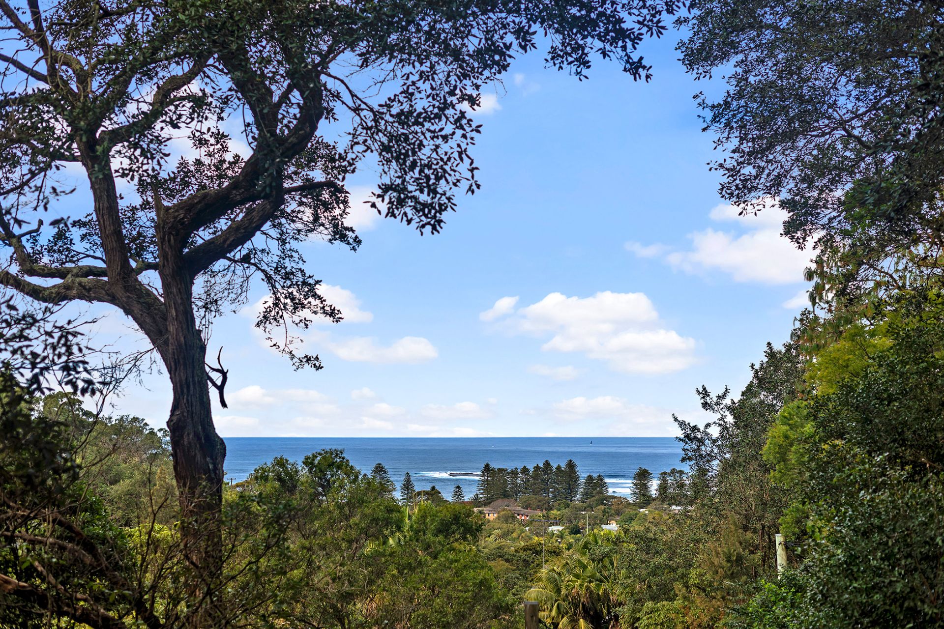 25 Sybil Street Newport NSW 2106, Newport - Thumbnail 4