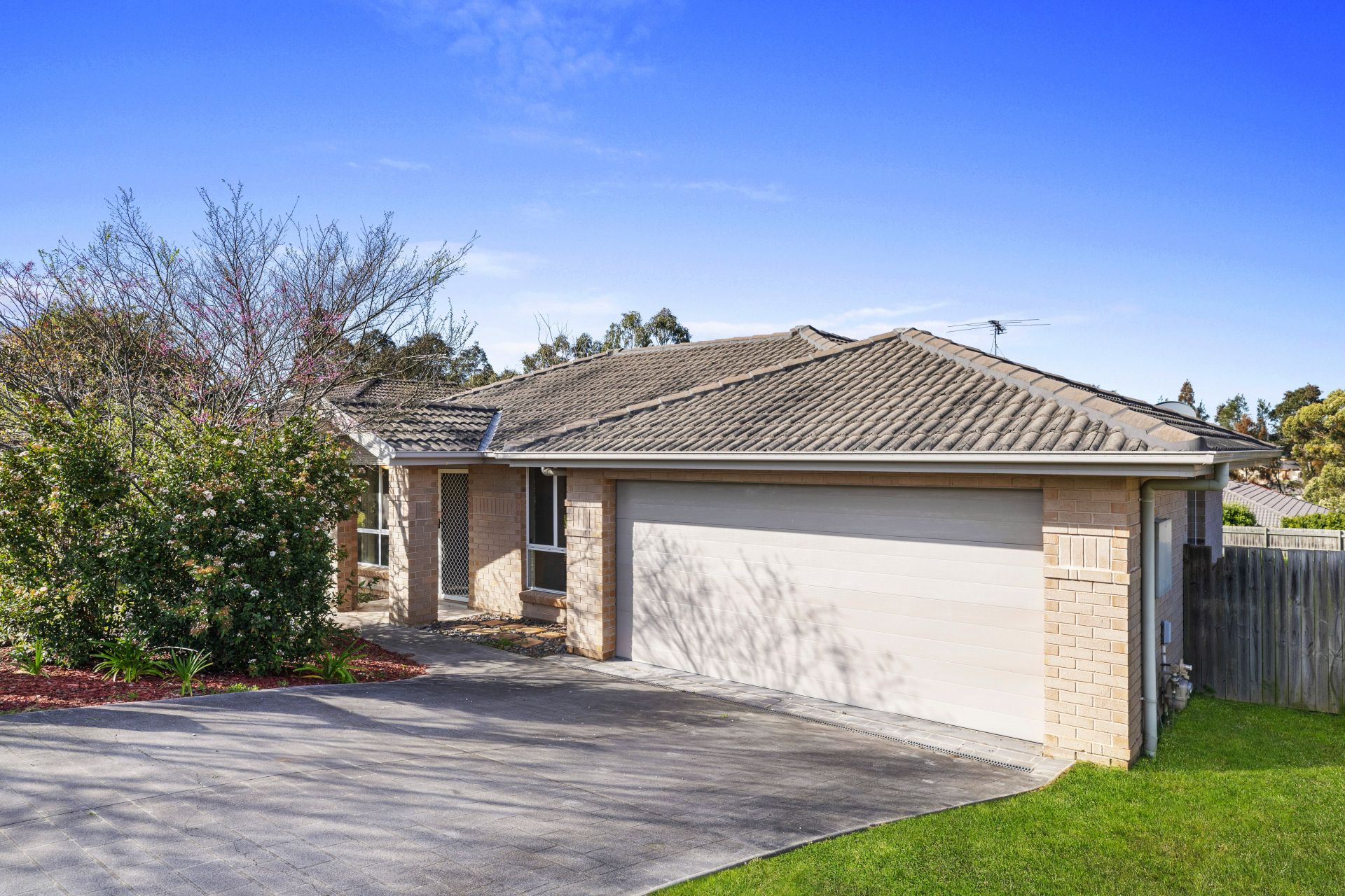 67 Birch Grove, Aberglasslyn Peters Real Estate