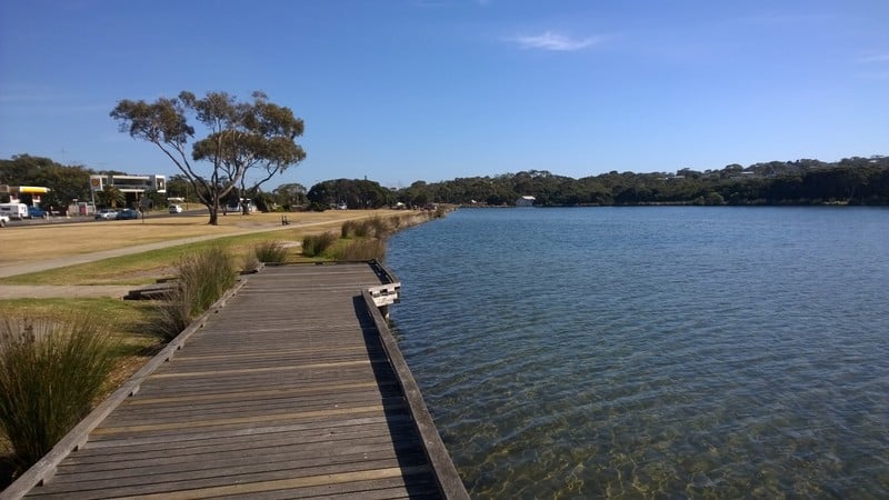 13  Diggers Parade, Anglesea, VIC, Anglesea - Thumbnail 5