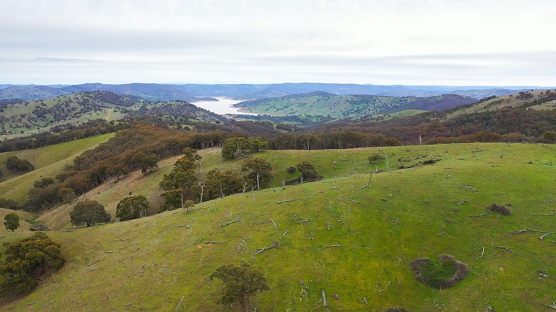 148 Mount Darling Road, Wyangala NSW, Wyangala - Thumbnail 4