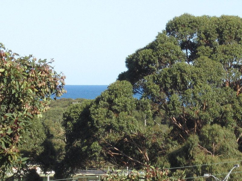 15 Walker Street, Anglesea, VIC, Anglesea - Thumbnail 2